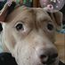 Loretta Booth - Facebook