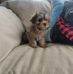 Laurette Bouchard - Facebook