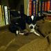 Loretta Bowden - Facebook