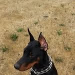 Loretta Bowman Marlow - @marlow_loretta - Instagram