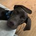 Loretta Breen - Facebook