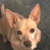 Lorreta Breeden - @lorreta.breeden - TikTok