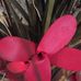 Loretta Bunch - Facebook