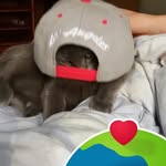 Loretta Cagle - @cagle.loretta - Instagram