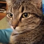 Loretta Cagle - @lorettaloretta64 - Instagram