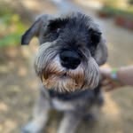 Loretta Calderoni - @loretta.calderoni.92798 - Instagram