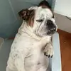 LorettaCalderon - @lorettacalderondzpgfufx - TikTok