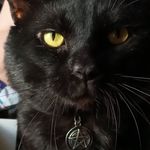 Loretta Carney - @lorettacarney49 - Instagram