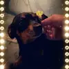 Loretta Carpenter - @loretta.carpenter5 - TikTok