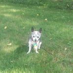 Loretta Chaffin - Facebook