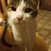 Loretta Coffman - Facebook