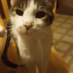 Loretta Coffman - @loretta.coffman.9 - Instagram
