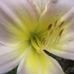 Loretta Coughlin - @loretta.coughlin - Instagram