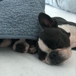 Loretta Cox - @fanny_gemma_mama_loretta - Instagram