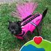 Loretta Creath - Facebook