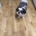 Loretta Croucher - Facebook