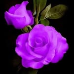 Loretta Davidson - @lorettadavidson71 - Instagram