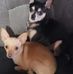 Loretta Deel - Facebook