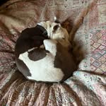 Loretta Denton - @lorettadenton71 - Instagram