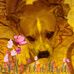 Loretta Denton - Facebook