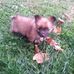 Loretta Dixon - Facebook
