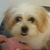 Loretta Dixon - Facebook