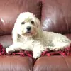 Loretta Donovan - @loretta.donovan5 - TikTok