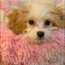 Loretta Donovan Clark - Facebook