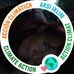 Loretta Drouillard - Facebook