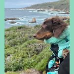 Loretta Duncan - @littlepuppiesthelongway - Instagram