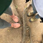 loretta N earl - @lorettanearl - Instagram