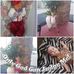 Loretta Ely - Facebook