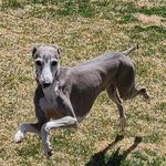 Loretta Edgar Embry - @3igletts - Instagram