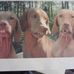 Loretta Embry - Facebook