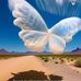Loretta Ernst - Facebook