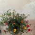 Loretta Fleming - Facebook