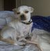 Loretta Floyd - Facebook