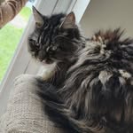 Loretta Forbes - @3773loretta - Instagram