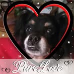 Loretta Fortney - Facebook