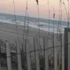 Loretta Gant-Wilkins - @loretta.gantwilki - TikTok