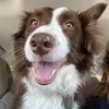 Loretta Gerber Riddles - @loretta.gerber.ri - TikTok