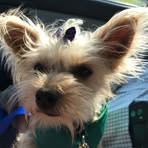 Loretta Gibson - Facebook