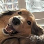 Loretta Gill - @gill_retta - Instagram