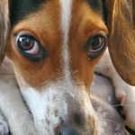 Loretta Graves - @loretta.graves.31 - Instagram