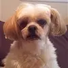 Lori Grissom - @lori_tiktokmama23 - TikTok