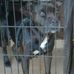 Loretta Groover - Facebook