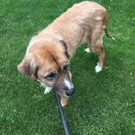 Loretta Guy Clawson - @loretta.clawson - Instagram