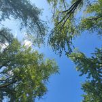 Loretta Hamilton - @loretta.hamilton.526 - Instagram