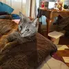 Loretta Ham - @loretta.ham - TikTok