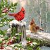 Loretta Hammons - Facebook